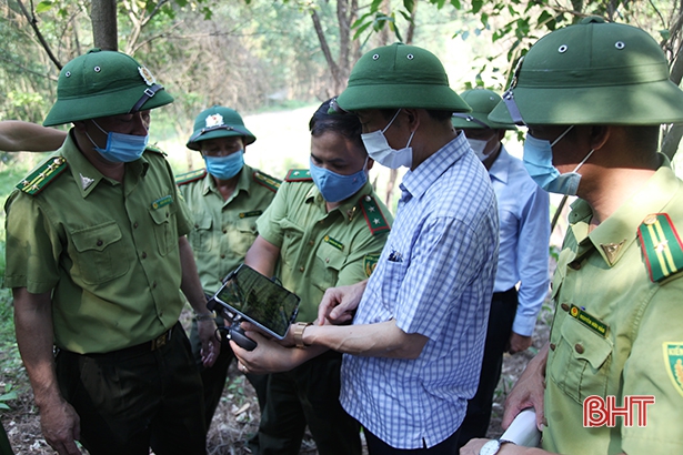 Căng mình phòng cháy, giữ “lá phổi xanh” giữa nắng nóng gay gắt ở Hà Tĩnh