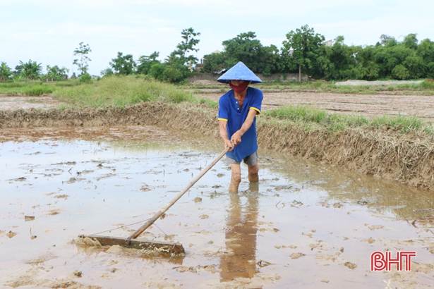 Vượt khó, nông dân Hà Tĩnh nỗ lực hoàn thành vụ gieo cấy hè thu