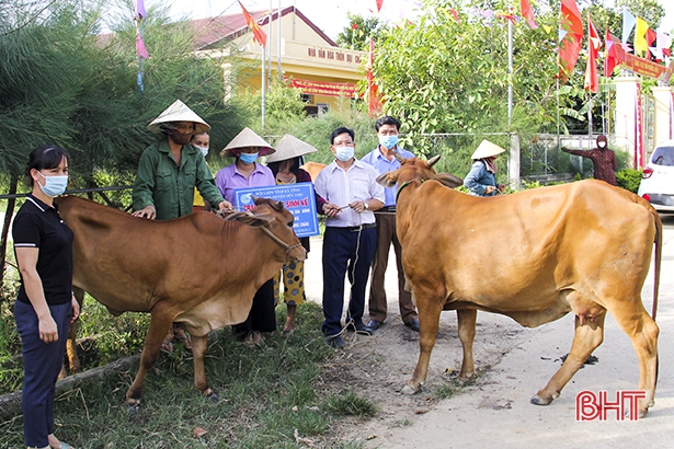 Tặng 5 con bò cho hội viên phụ nữ nghèo ở Đức Thọ