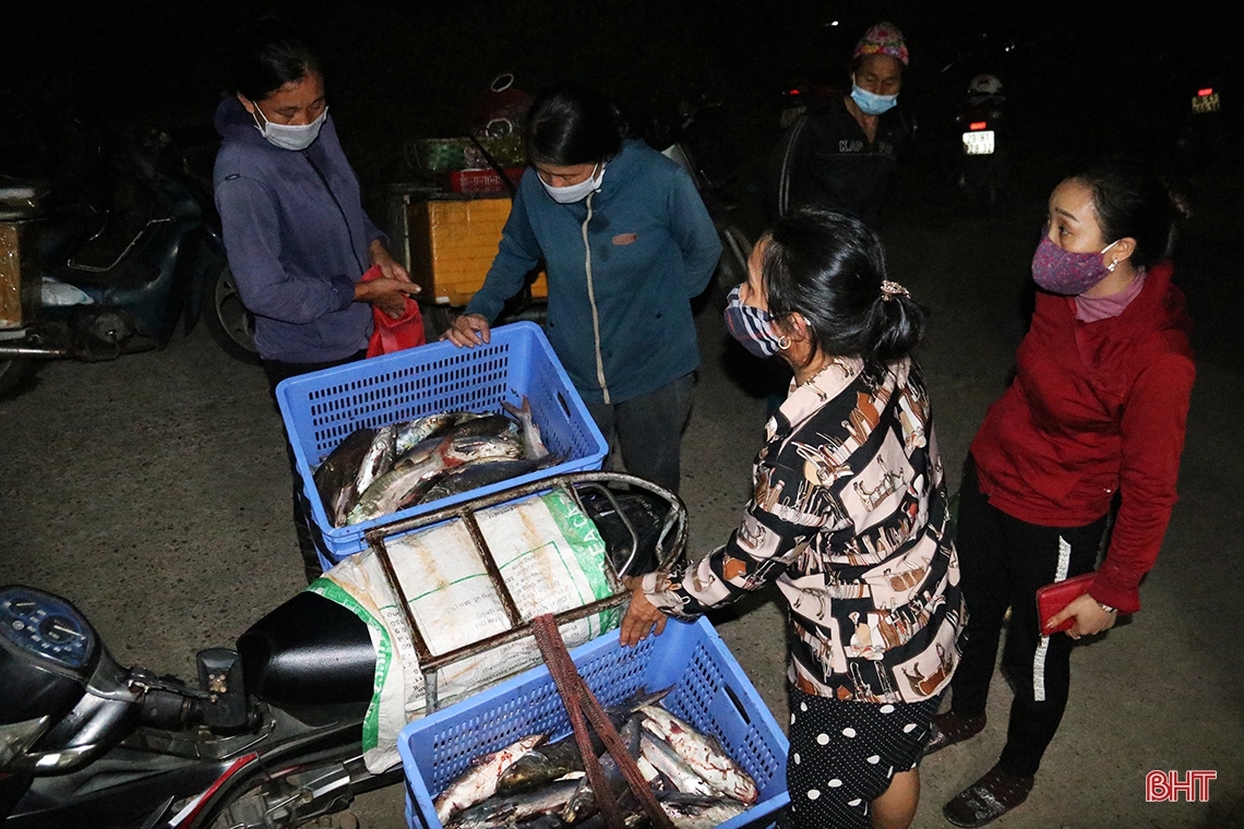 Ngư dân vùng biển phía Nam Hà Tĩnh trúng đậm cá thiều hiếm gặp, thu hàng trăm triệu