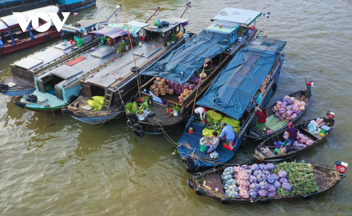 Cần Thơ dừng tổ chức Ngày hội du lịch “Văn hóa Chợ nổi Cái Răng” năm 2021