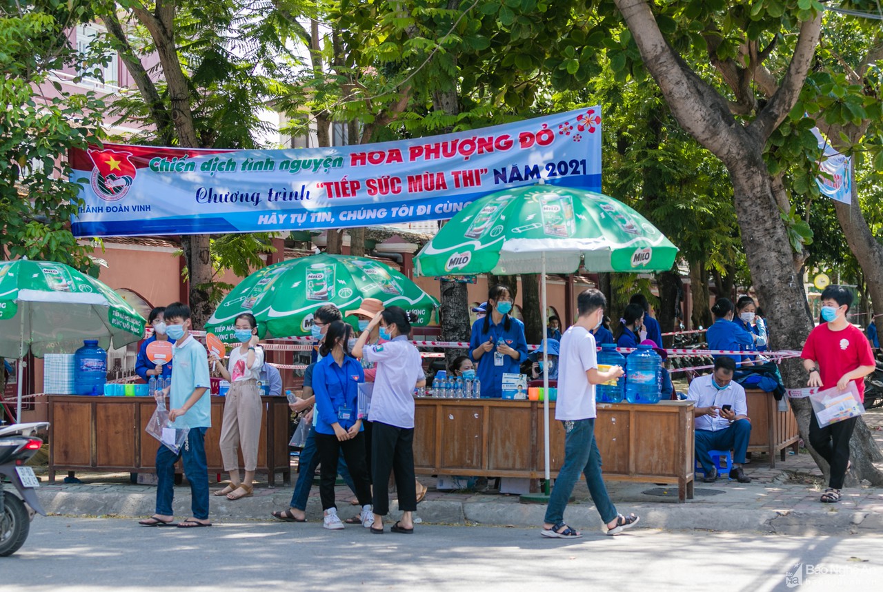 Thanh niên tình nguyện đồng hành 