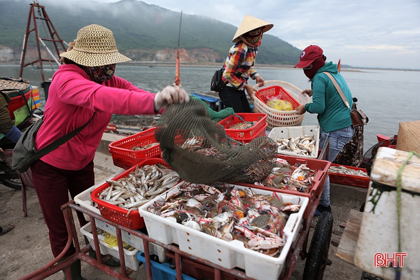 Đảm bảo phòng dịch, cảng cá lớn nhất Hà Tĩnh vẫn đón những chuyến tàu cập bến