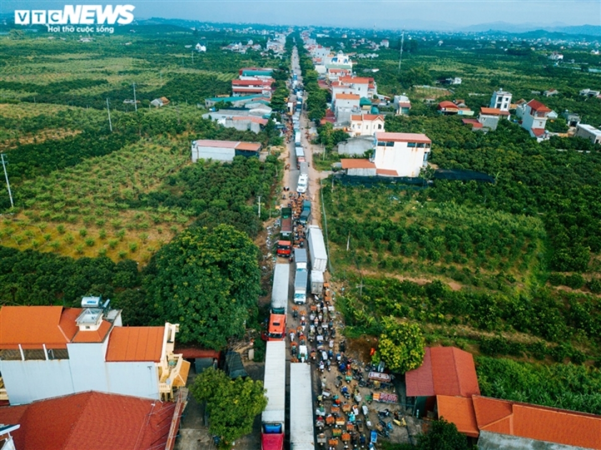 Ảnh: Ấn tượng hàng dài xe chở vải nối đuôi nhau đến điểm thu mua ở Bắc Giang