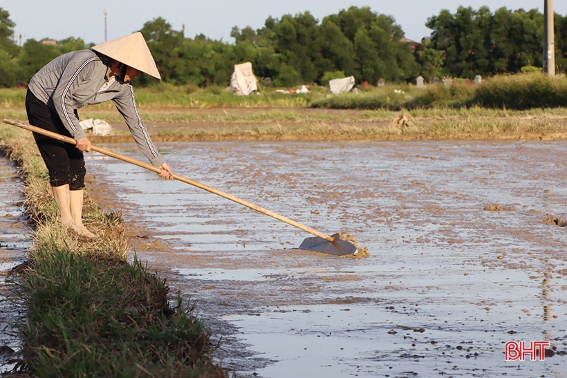 Hà Tĩnh: Thợ cày “trốn” nóng làm xuyên đêm hỗ trợ nhà nông gieo cấy sớm