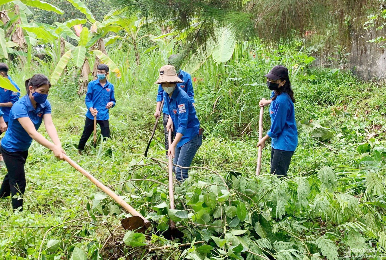 Tuổi trẻ Nghệ An linh hoạt, hiệu quả trong Chiến dịch Thanh niên tình nguyện hè 