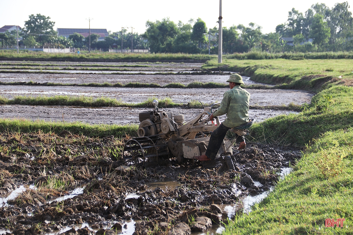 Cận cảnh “trốn nóng” sản xuất hè thu của nông dân thị xã phía Nam Hà Tĩnh