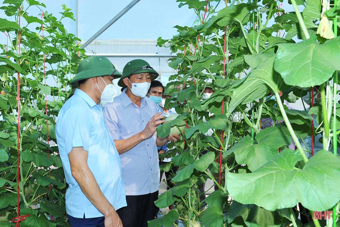 Chủ tịch UBND tỉnh Hà Tĩnh: Ưu tiên nguồn lực hỗ trợ Hương Khê xây dựng huyện nông thôn mới