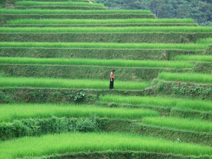 Phim tài liệu của hoa hậu Thu Thuỷ kể về cuộc đời mình bỗng dưng "gây sốt"