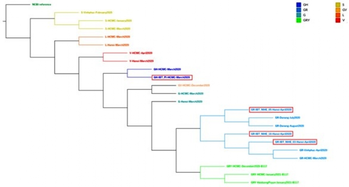 Lần đầu Việt Nam xây dựng thành công quy trình giải trình tự hệ gen virus SARS-CoV-2