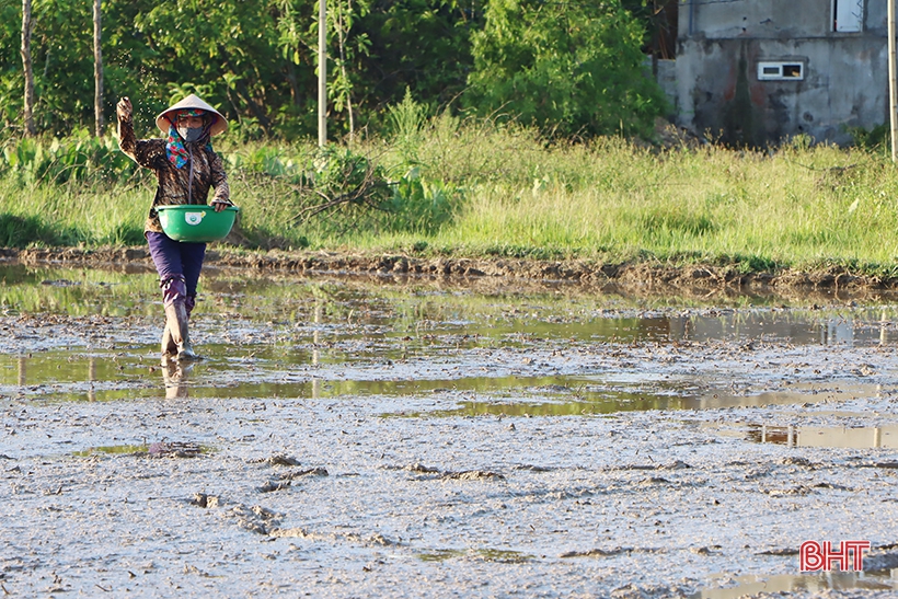 Hà Tĩnh: Thợ cày “trốn” nóng làm xuyên đêm hỗ trợ nhà nông gieo cấy sớm