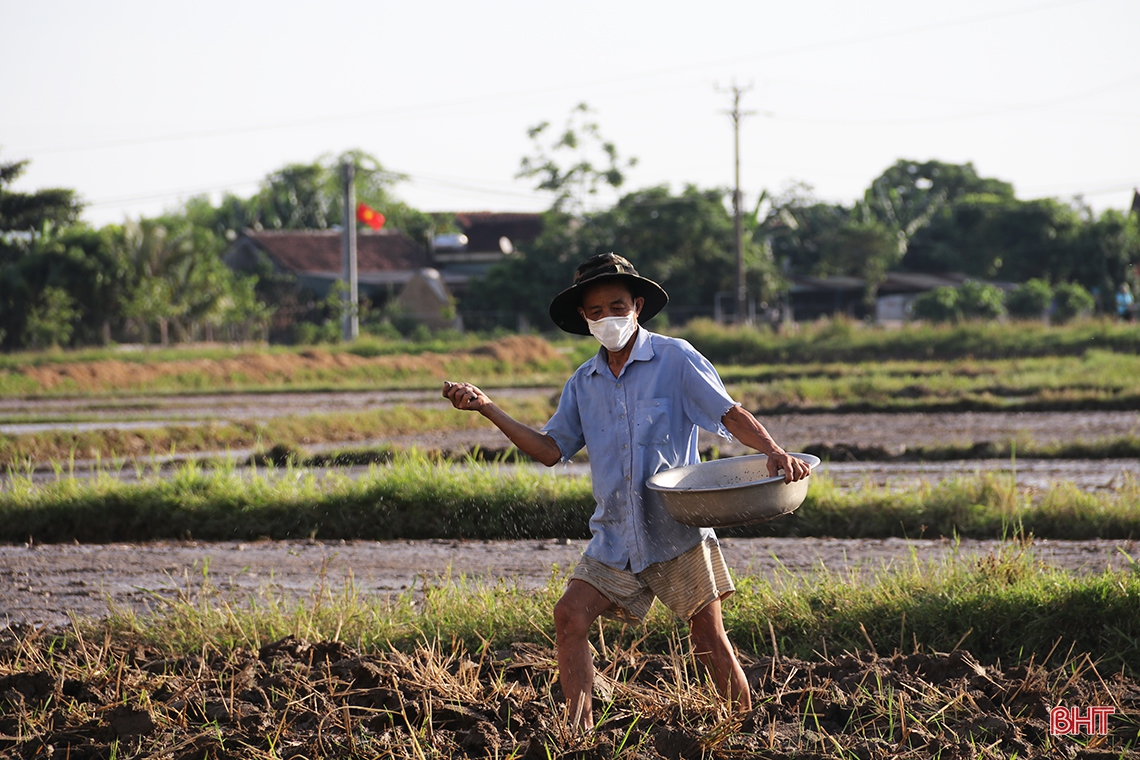 Cận cảnh “trốn nóng” sản xuất hè thu của nông dân thị xã phía Nam Hà Tĩnh