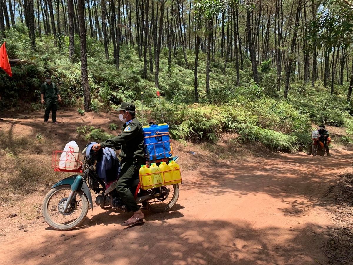 Nắng nóng đe doạ gây cháy rừng dữ dội ở miền Trung