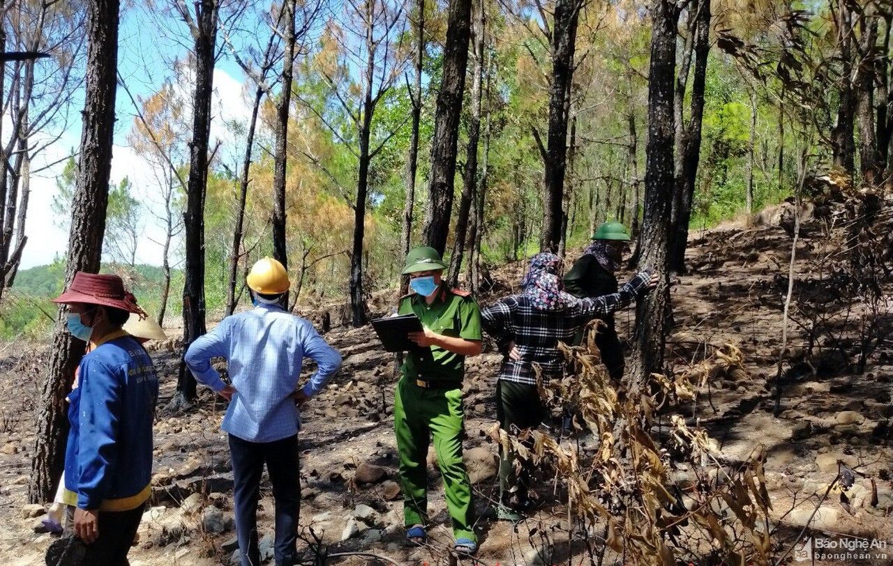 Truy tìm được người gây cháy rừng ở thị xã Hoàng Mai