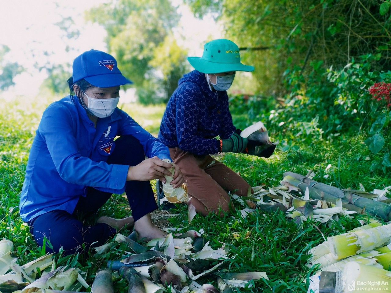 Thanh Chương sẽ gửi tặng nông sản sạch cho TP. Vinh và các vùng có dịch