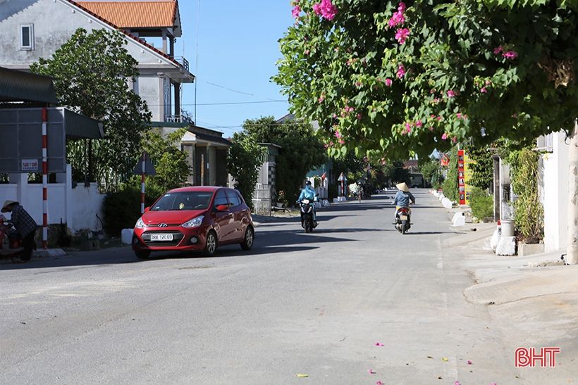 Mát mắt với hàng rào xanh trong nắng hè trên những miền quê nông thôn mới Hà Tĩnh