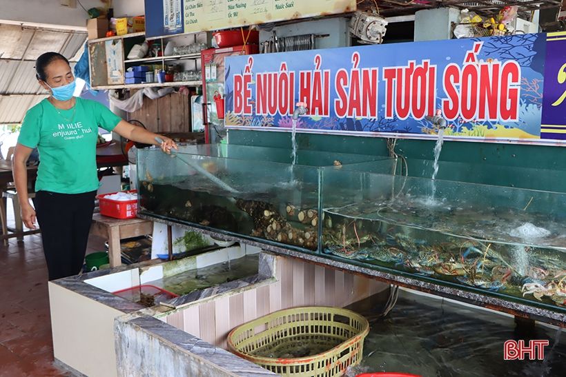 Hà Tĩnh: Nhà hàng, khách sạn tại Khu du lịch Thiên Cầm hoạt động trở lại