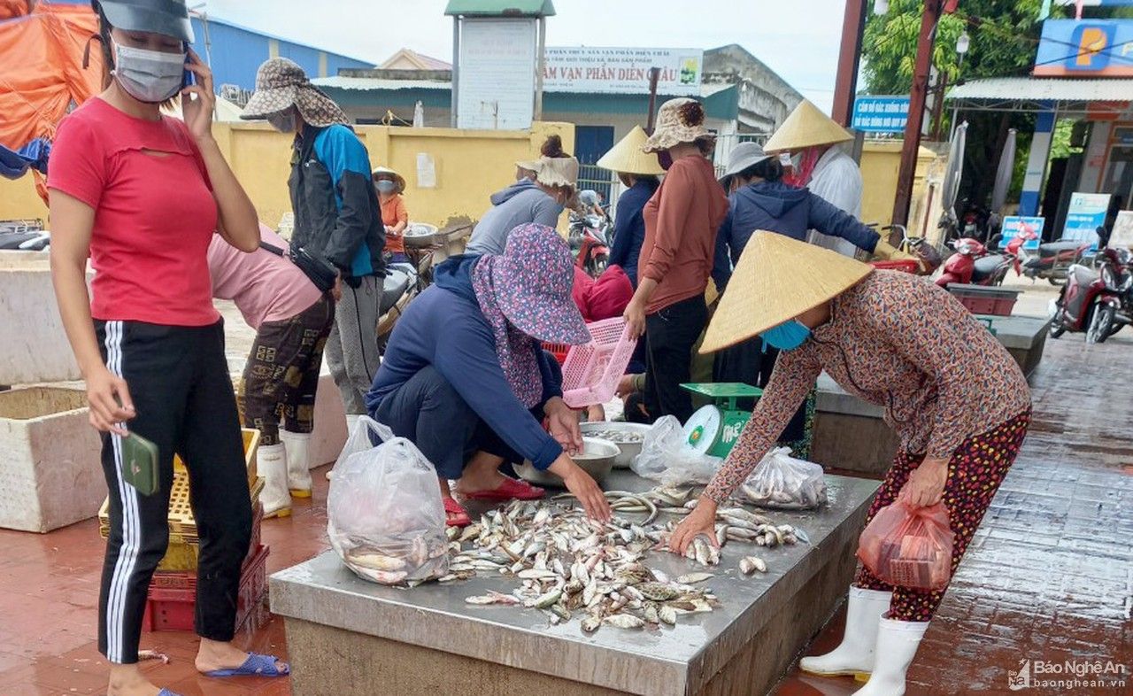 Ngư dân Nghệ An bám biển trong điều kiện phòng dịch theo quy định