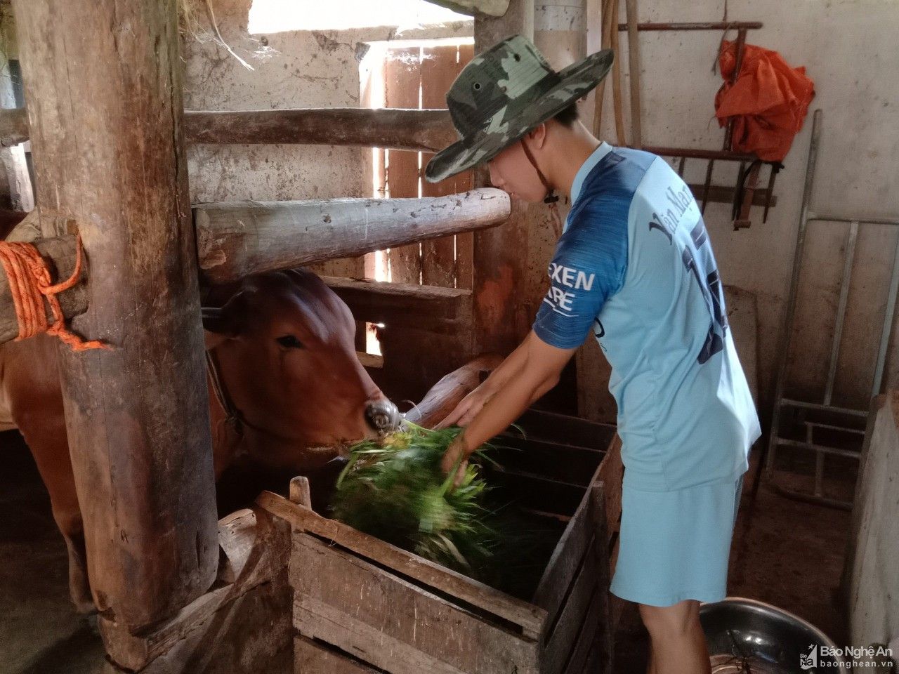 Nghị lực của cậu học trò nghèo chịu nỗi đau mồ côi khi cận ngày thi