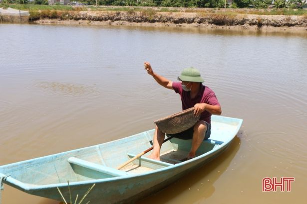 Nông dân ven đô tìm hướng xoay trở giữa mùa dịch