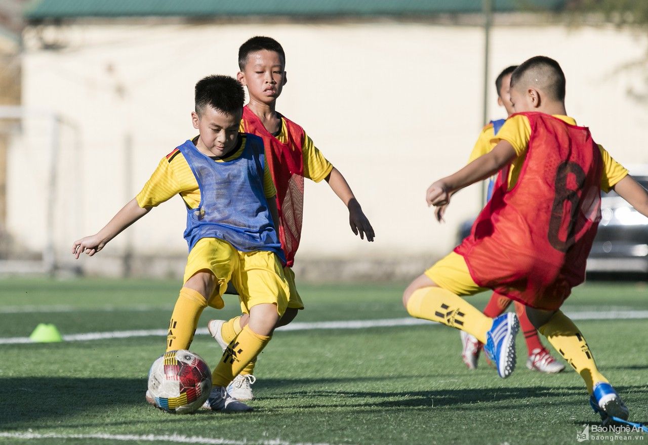 13 cầu thủ nhí đến từ các huyện xuất sắc trúng tuyển lò đào tạo SLNA