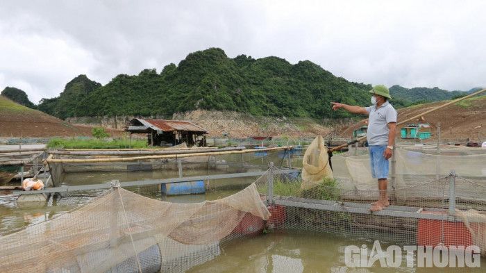 Người nuôi cá lồng trên hồ thủy điện Hòa Bình trắng tay sau một đêm