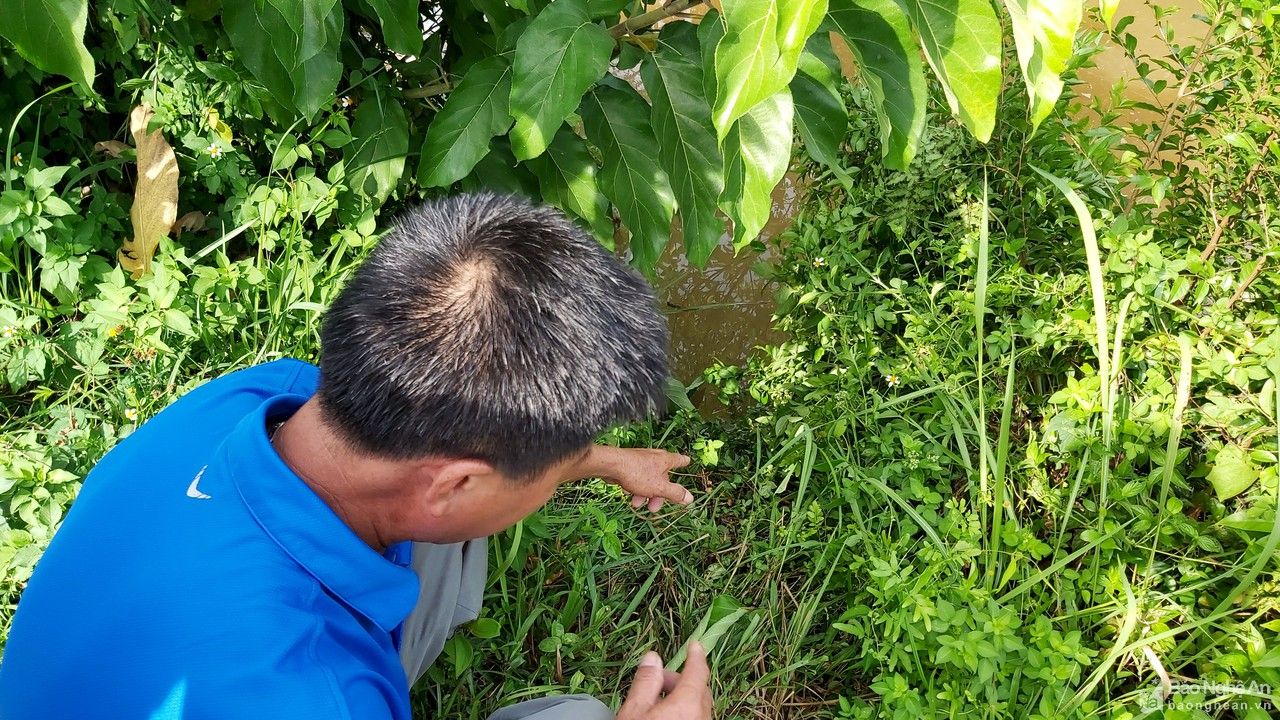 Nam thanh niên ở Yên Thành mất tích bất thường trong đêm