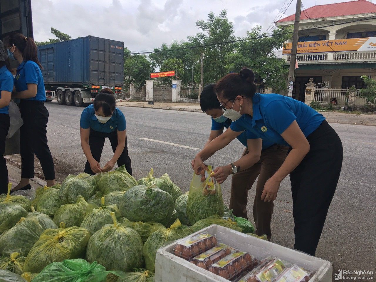 Công đoàn Nghệ An triển khai 