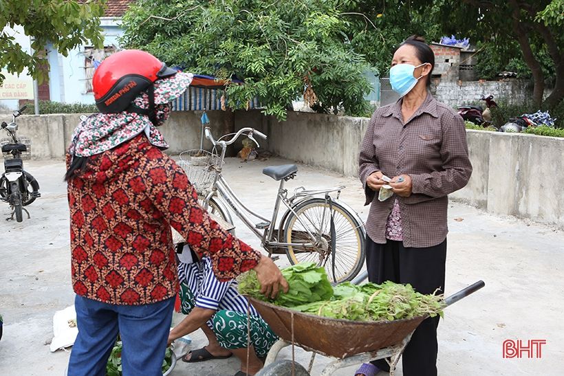 Bỏ nghề phụ hồ, đầu tư làm vườn mẫu xanh tốt quanh năm