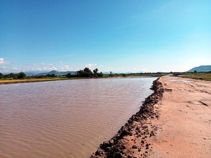 Toàn cảnh thi công hơn 100km cao tốc Vĩnh Hảo - Phan Thiết