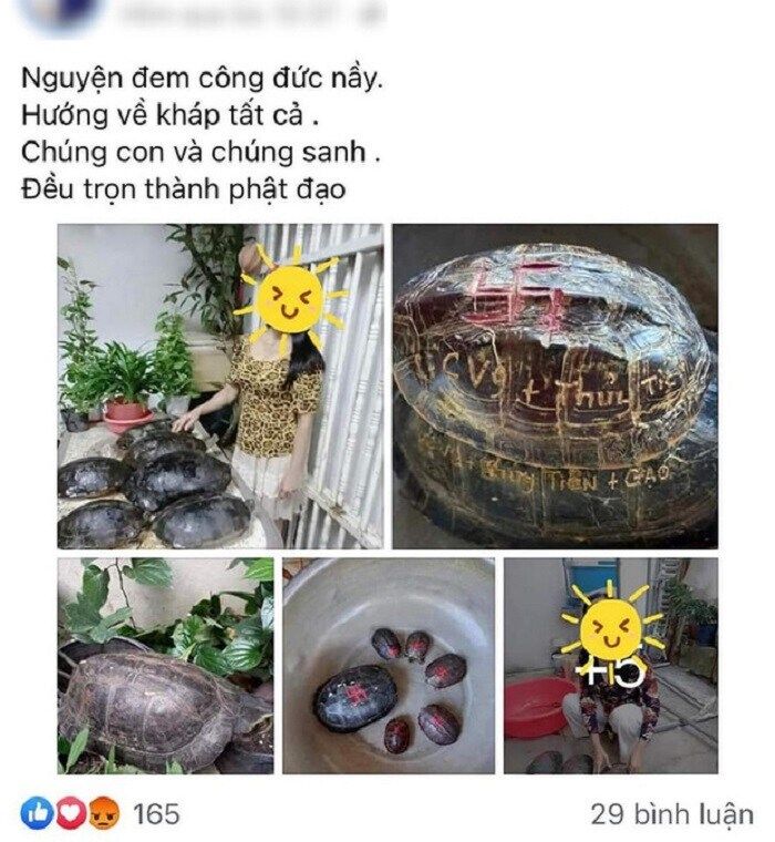 Tên Thủy Tiên và Công Vinh khắc trên mai rùa, nhà khoa học nói gì?