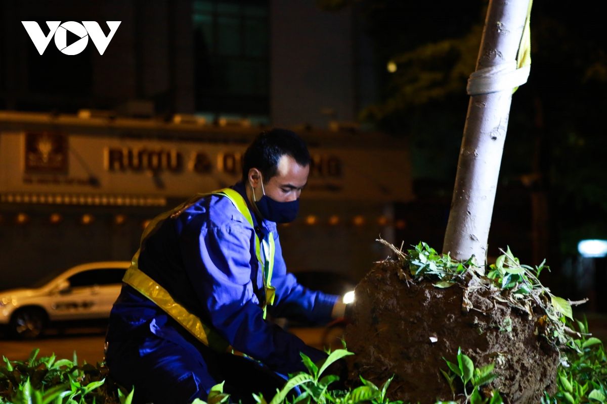 Hà Nội thay thế toàn bộ hàng phong lá đỏ trên phố Nguyễn Chí Thanh - Trần Duy Hưng