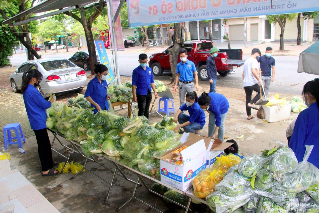 Huyện Quỳnh Lưu hỗ trợ 10 tấn rau, củ cho người dân TP. Vinh 