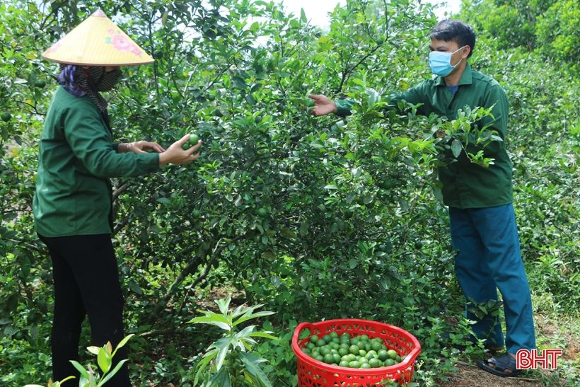 Chanh Vũ Quang sai quả nhưng lại... “rớt” giá, ế hàng!