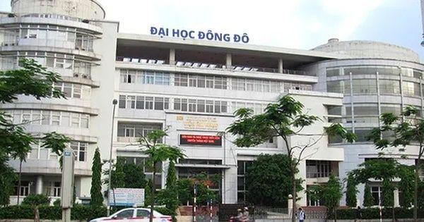 Dùng bằng giả Đại học Đông Đô: Miễn nhiệm 2 người, kỷ luật hàng loạt người