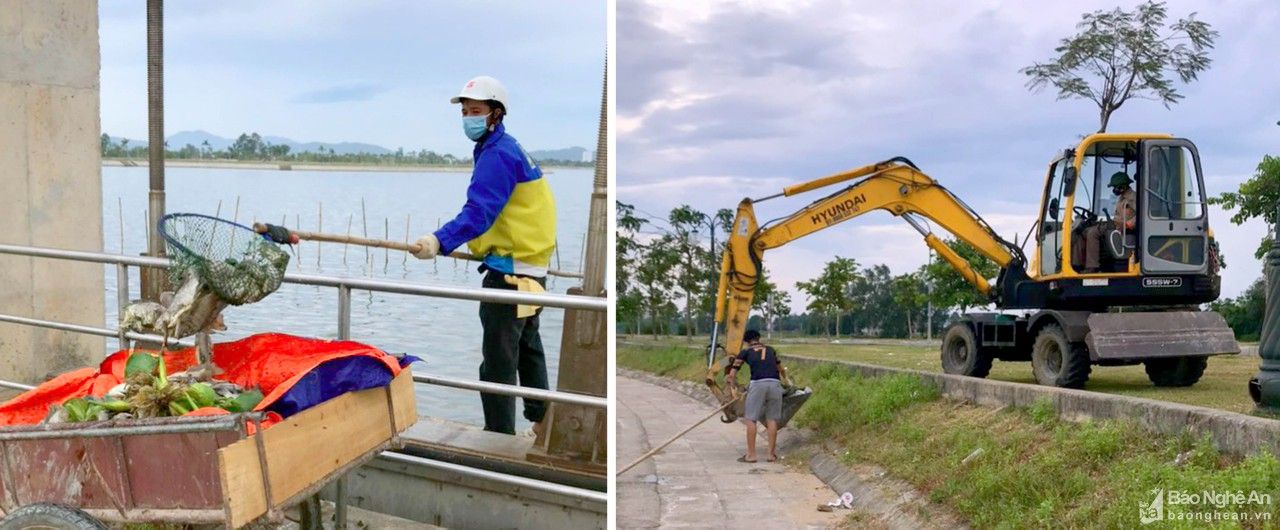 TP. Vinh xử lý, khắc phục tình trạng cá chết tại hồ điều hòa