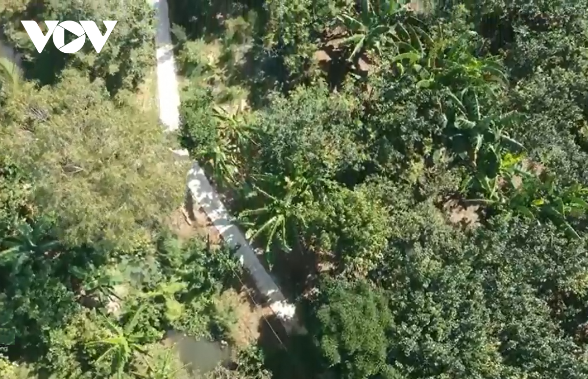 Vĩnh Long phát triển "vùng xanh", thu hẹp "vùng đỏ" tiến tới đẩy lùi dịch bệnh