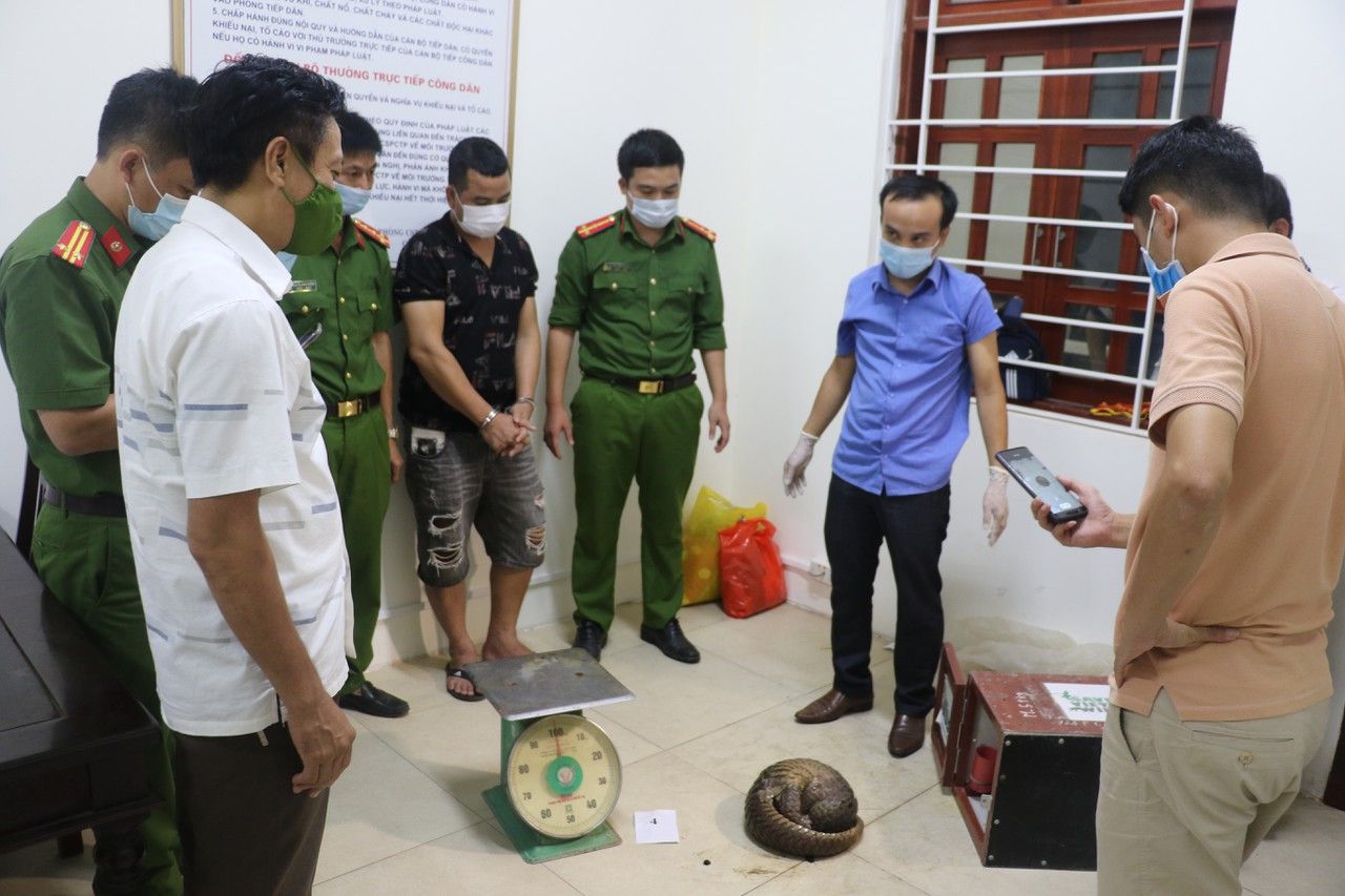 Nghệ An: Siết chặt hoạt động mua bán, nuôi nhốt động vật hoang dã trái phép