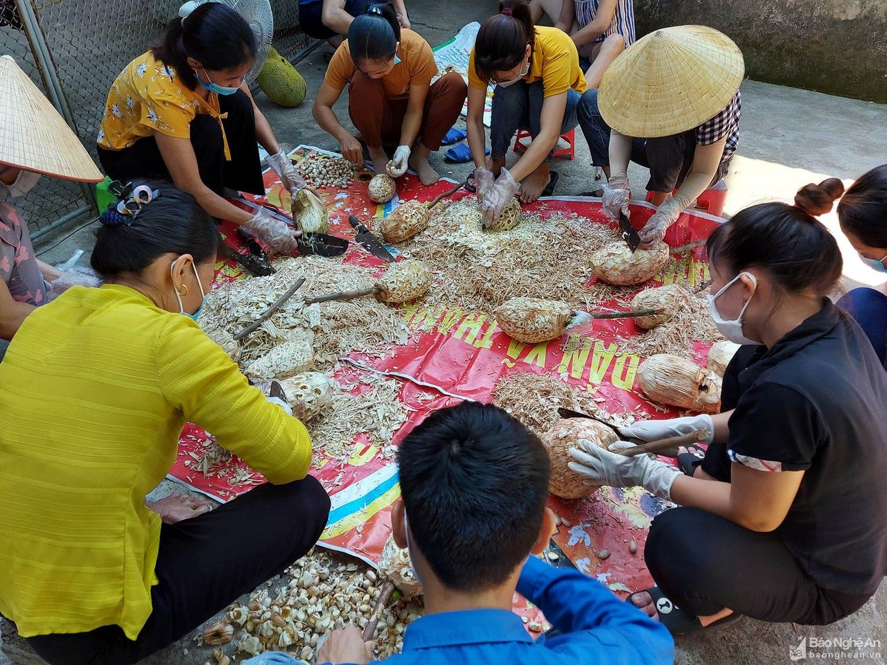 Thức đêm chế biến nhút mít, muối măng ủng hộ người dân TP Vinh chống dịch