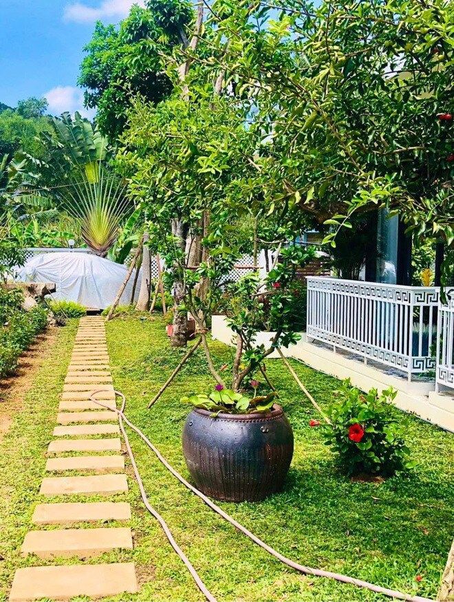 Trước khi nợ nần tiền tỷ, Việt Anh sở hữu khối tài sản khủng cỡ nào?