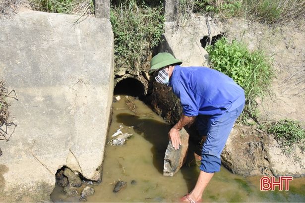 Kênh chính xuống cấp, hàng trăm ha đất lúa hè thu ở Lộc Hà bị ảnh hưởng