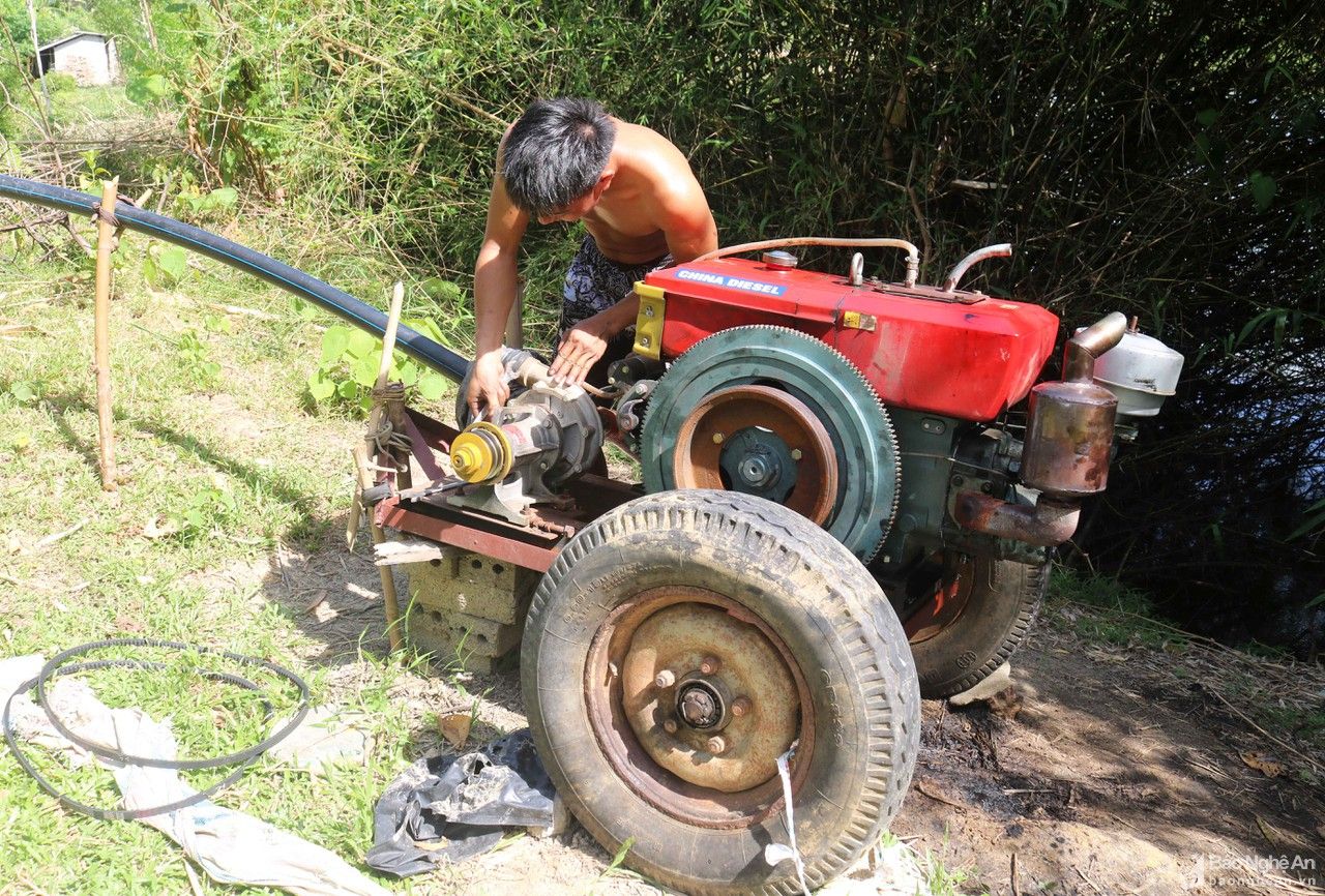 Nắng như đổ lửa, nông dân Nghệ An vật lộn chống 