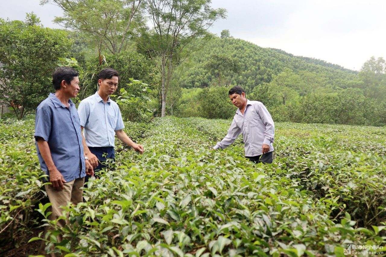 Nông dân và doanh nghiệp Nghệ An 