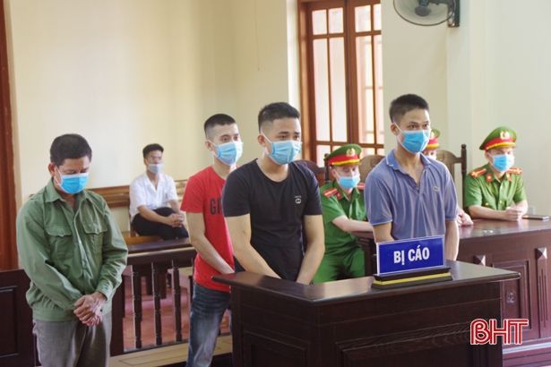 Xét xử ổ nhóm trộm chó trên nhiều&nbsp;địa bàn Hà Tĩnh