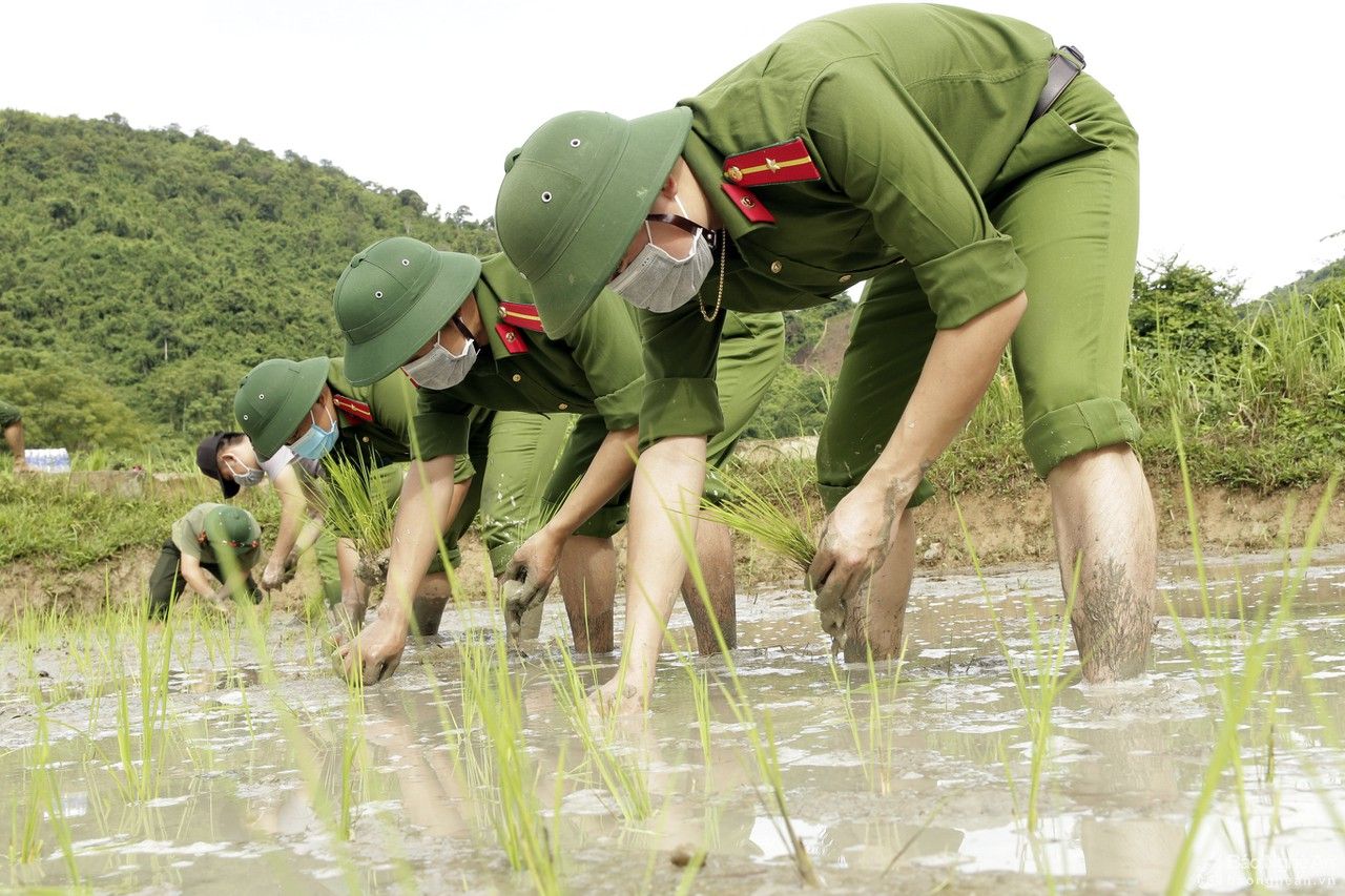 Các lực lượng giúp người dân vùng tâm dịch Tương Dương cấy lúa