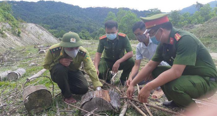 Khởi tố, bắt giam 5 đối tượng phá rừng