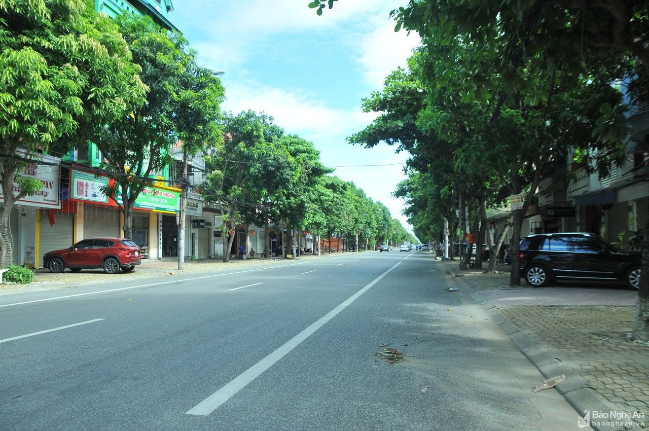 Quang cảnh 