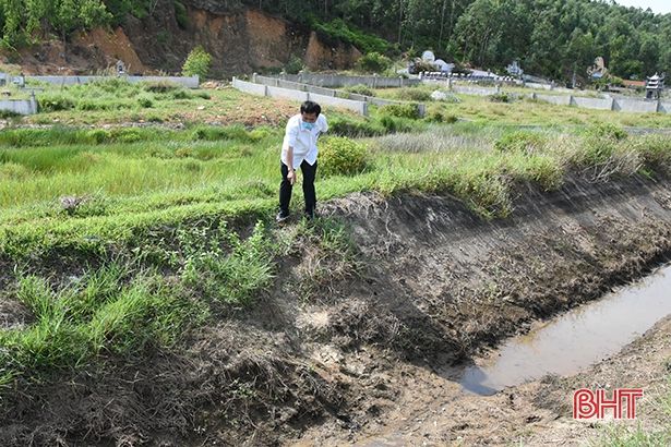 Kênh chính xuống cấp, hàng trăm ha đất lúa hè thu ở Lộc Hà bị ảnh hưởng