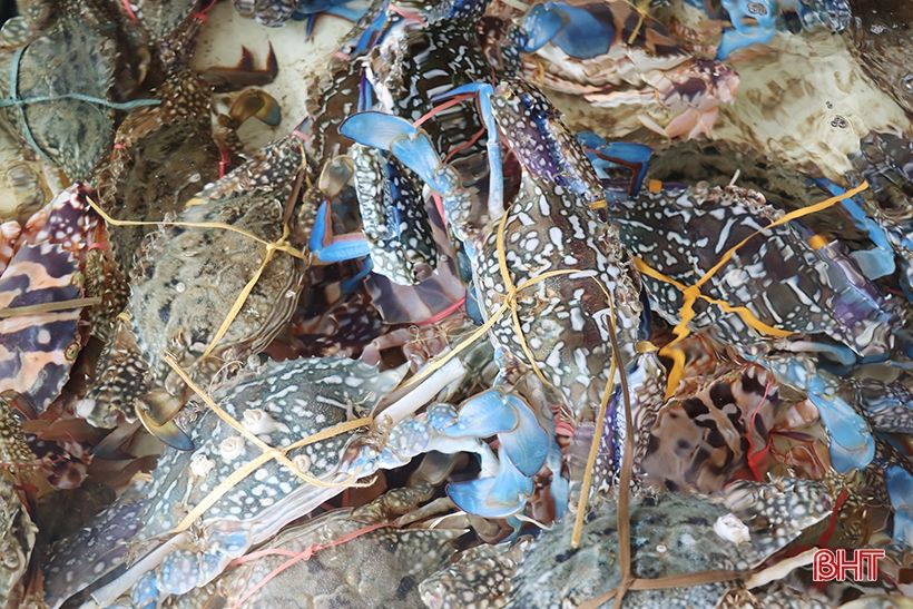 Hà Tĩnh: Nhà hàng, khách sạn tại Khu du lịch Thiên Cầm hoạt động trở lại