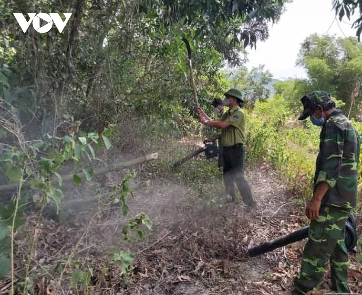 Đà Nẵng tăng cường phòng chống cháy rừng trong mùa nắng nóng gay gắt